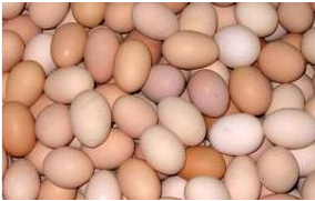 duzias de ovos