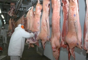 exportação de carnes suinas